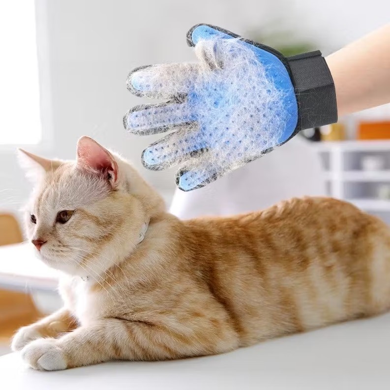 Tabbie with Pet owner grooming glove covered in fur