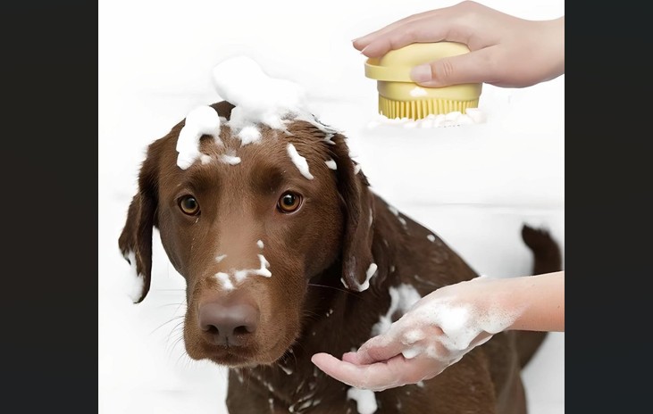 soapy dog horizontal with black edges