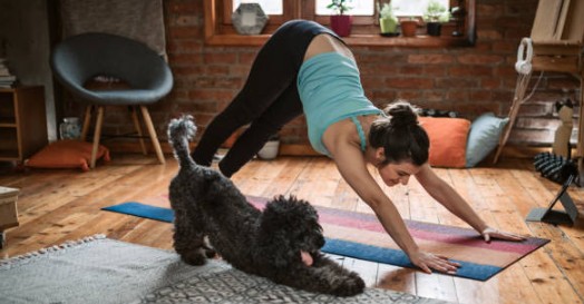 yoga with your dog